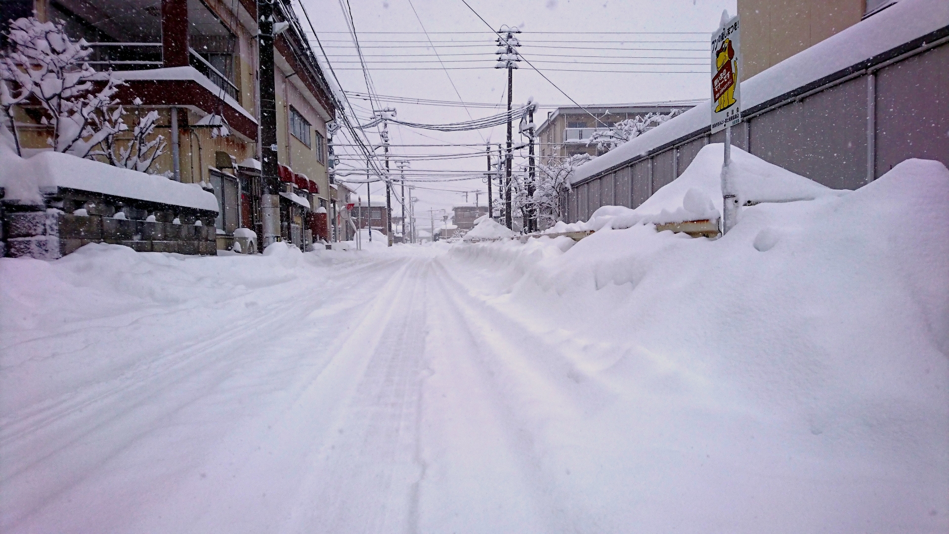 雪が音のエネルギーを吸収している