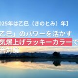 【2025年は乙巳（きのとみ）年】「乙巳」のパワーを活かす運気爆上げラッキーカラーで防音対策